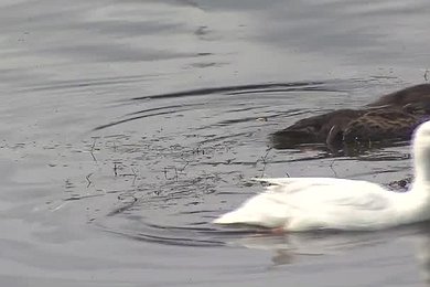 Off the Danish Coast – Part 2