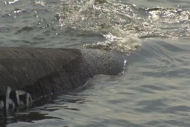 The Castoro Dieci in the Bay of Greifswald – Part 4