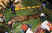 Historic Rudder After its Recovery
