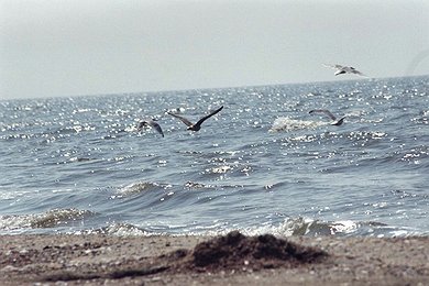 Impressions of the landscapes around the Baltic Sea