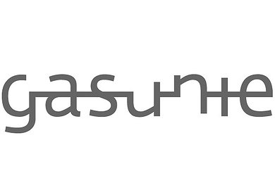 N.V. Nederlandse Gasunie Logo