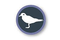 Environmental Monitoring Infographic – Icon: Birds