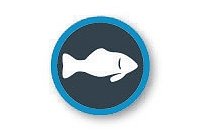 Environmental Monitoring Infographic – Icon: Fish