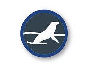 Environmental Monitoring Infographic – Icon: Marine Mammals