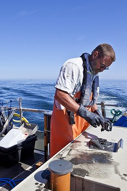 Seabed Sample Taken in Danish Waters